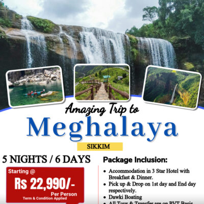 North East Tour And Travel Agency