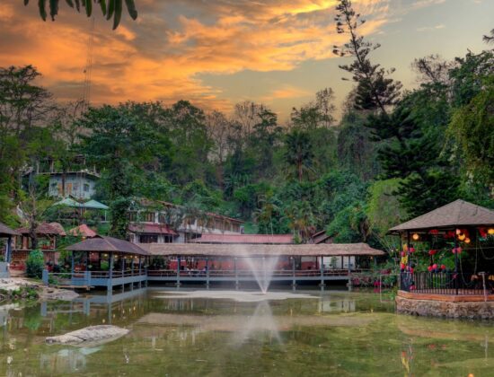 Brahmaputra Jungle Resort
