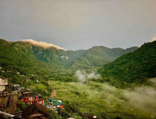 Ecotone Tours and Travels