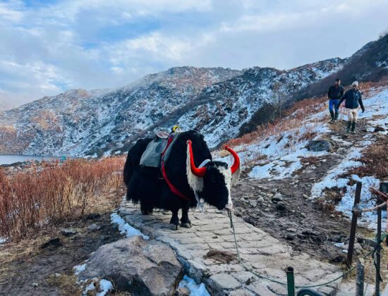 Sikkim Adventure Retreats