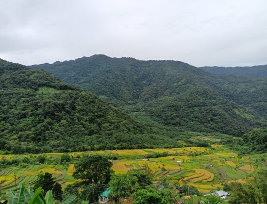 Ecotone Tours and Travels