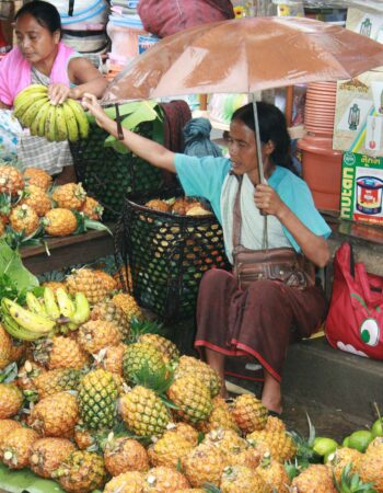 Nomadic Tales & Trails