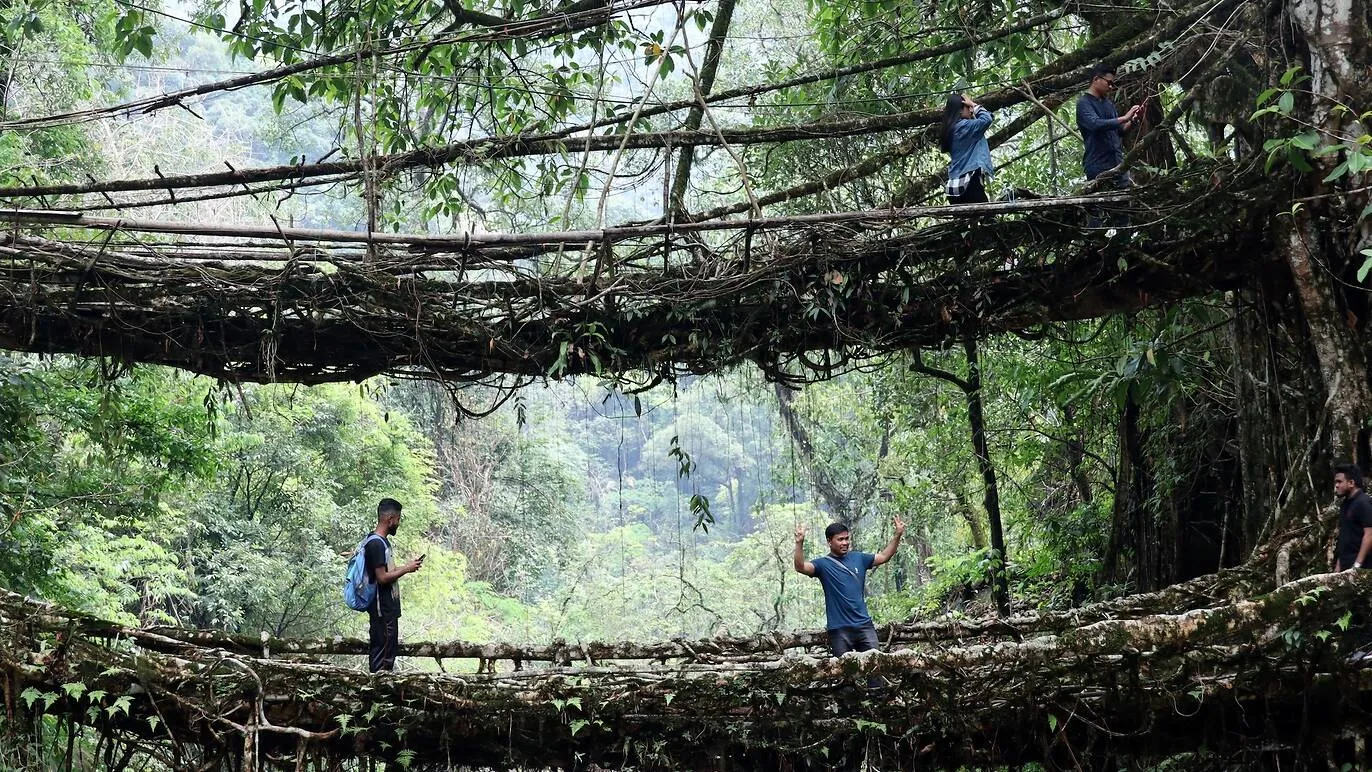 Double Decker Living Root Bridge