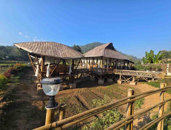 Butterfly The Retreat