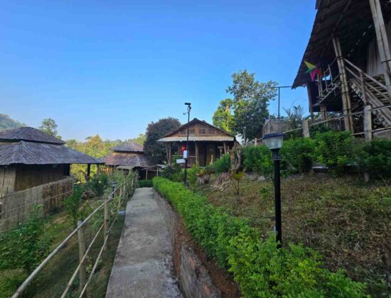 Butterfly The Retreat