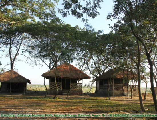 Dhansiri Eco Camp