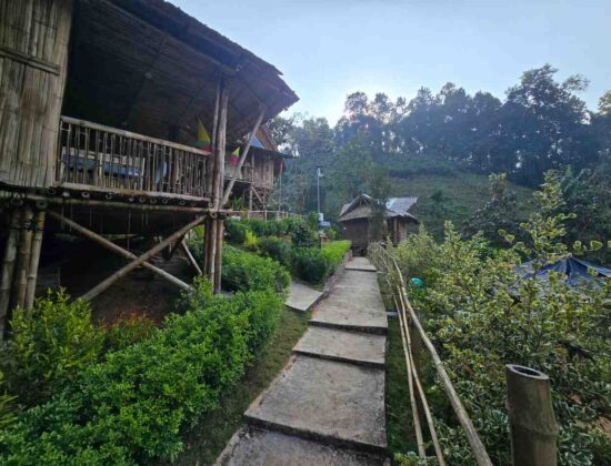 Butterfly The Retreat