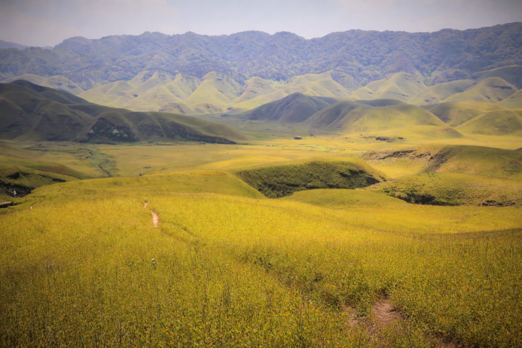 10 Surreal Places in Northeast India That Don't Feel Real 1 Dzükou Valley