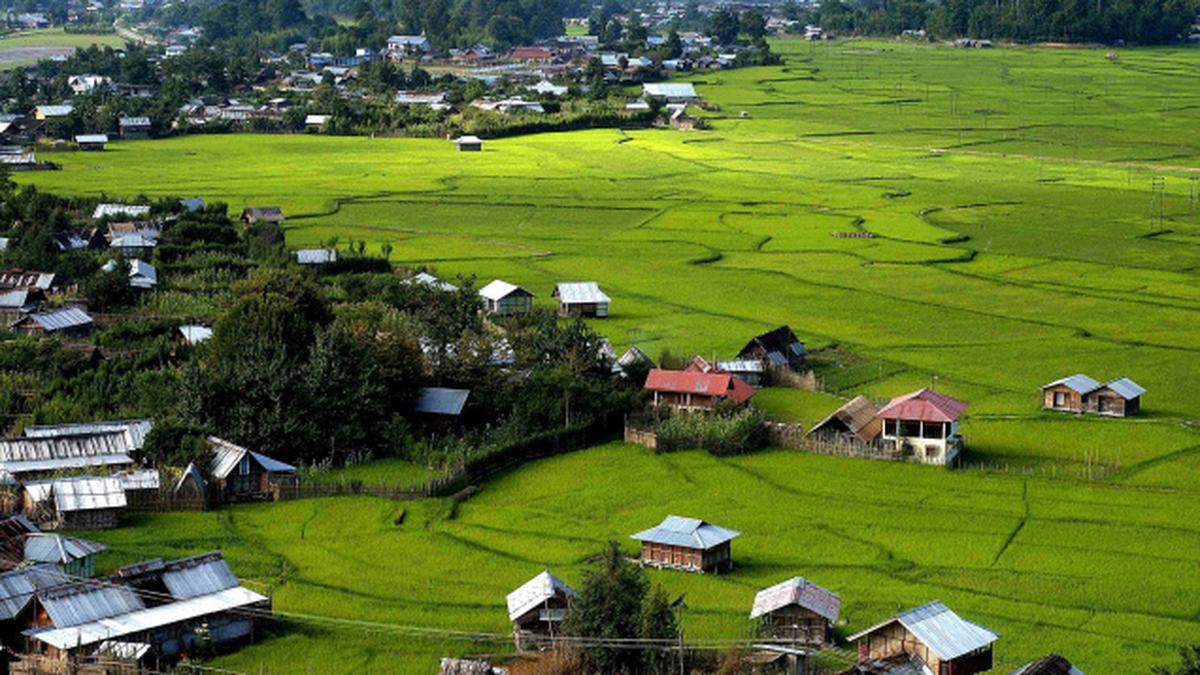 Ziro Valley