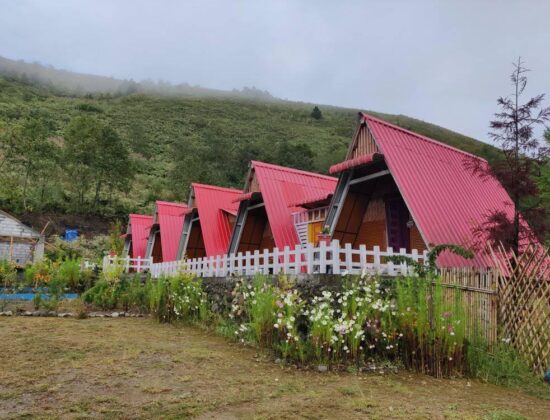 Pihi Homestay