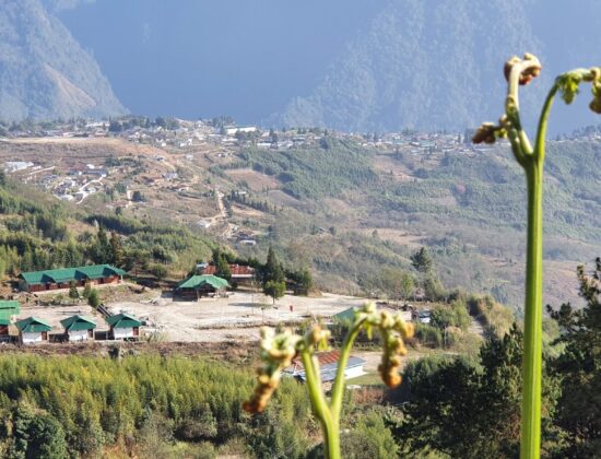 Mishmi Hill Resorts
