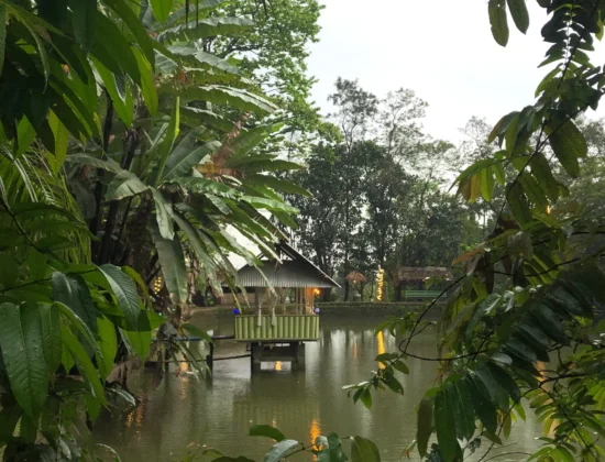 Angawroo Resort