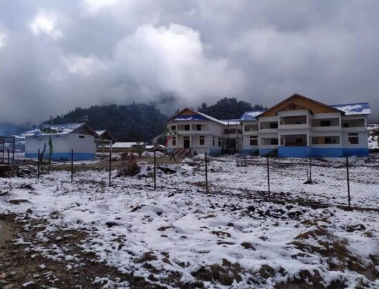 Potala Homestay