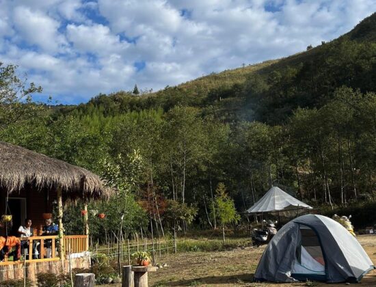 Pihi Homestay