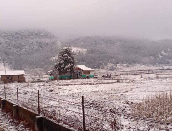 Potala Homestay