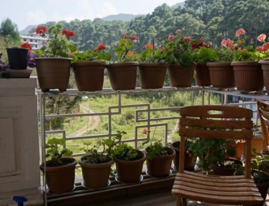 Dorsen Homestay