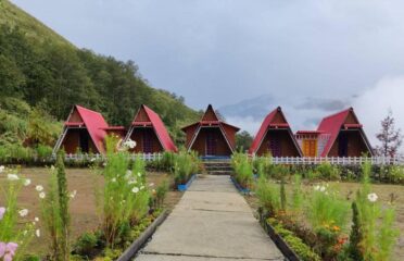 Pihi Homestay