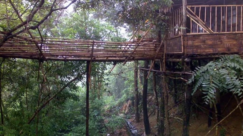 Bamboo Sky Walk