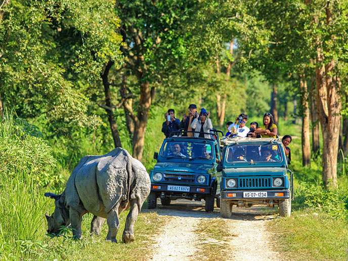 Jeep Safari
