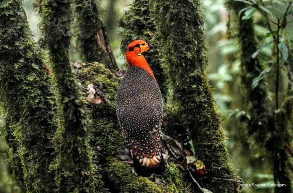 Khonoma Nature Conservation