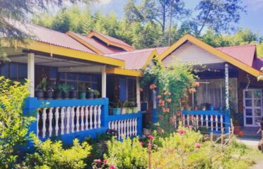 Kongo Homestay