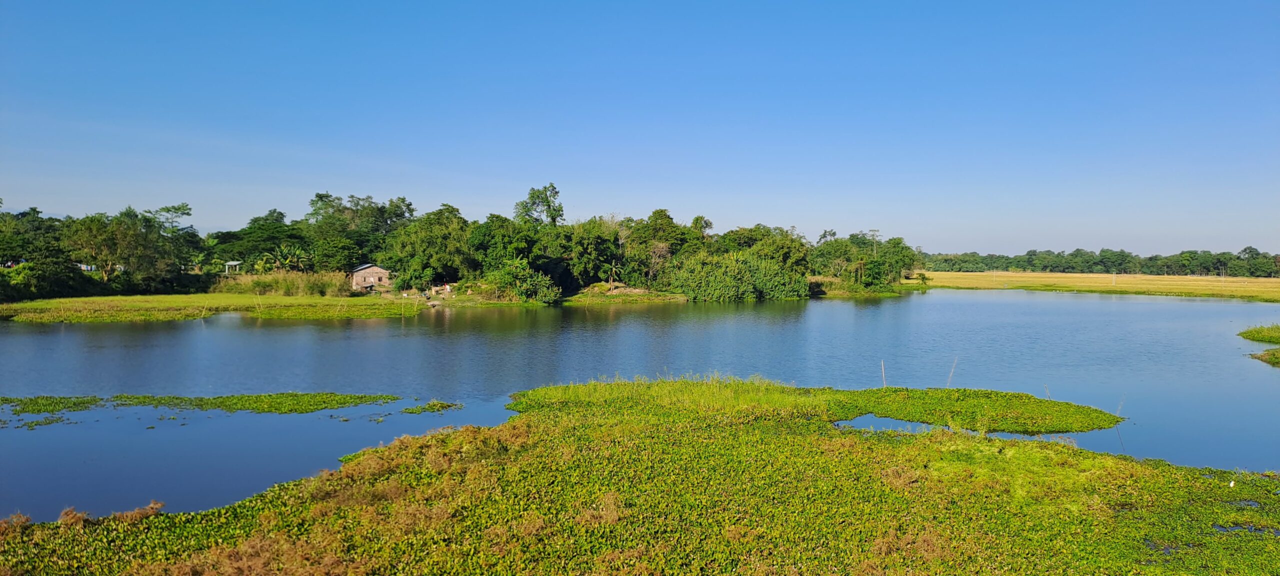 Majuli