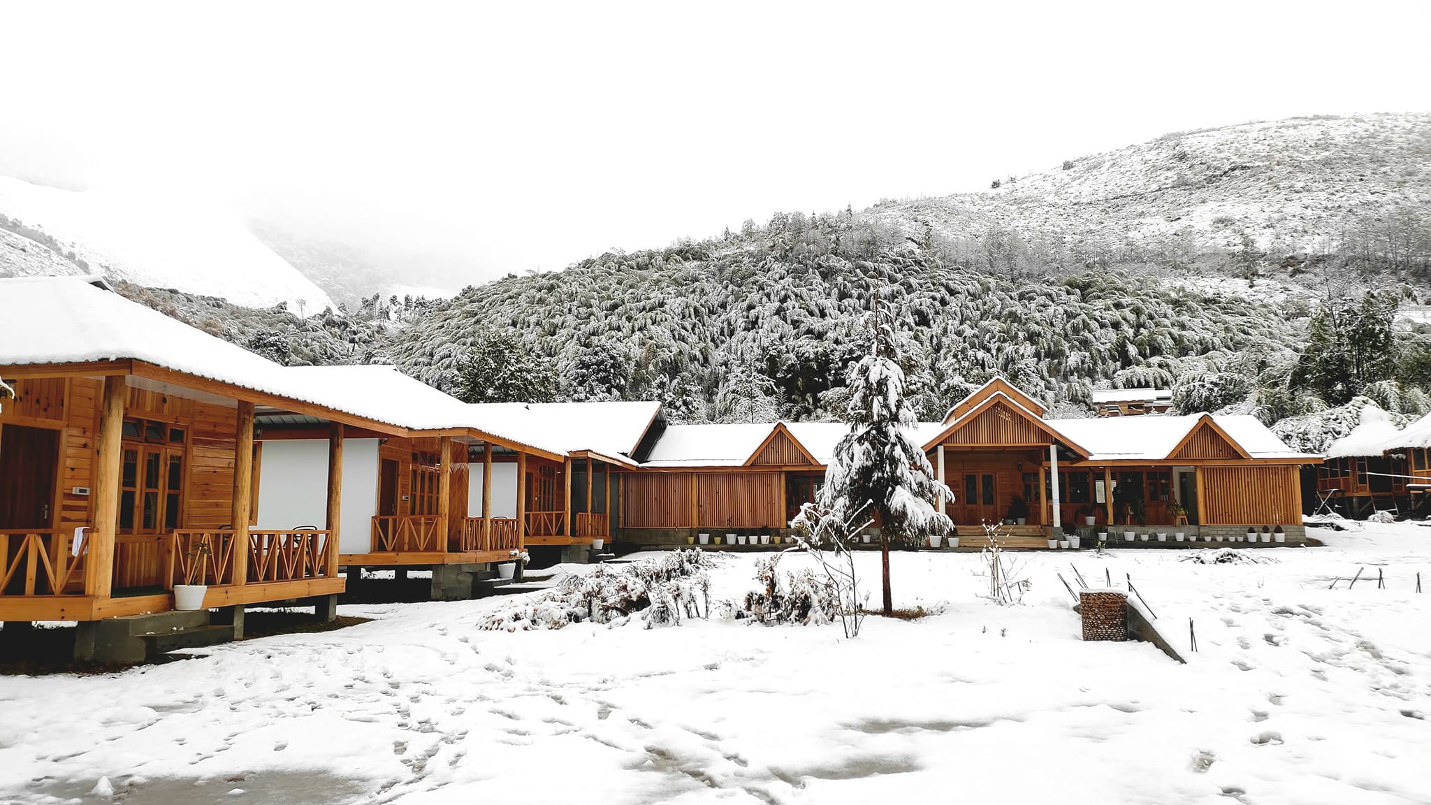 Mishmi Hills Resort
