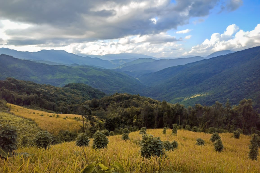 Murlen National Park