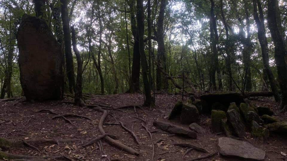 Sacred Grove Law Kyntang edited