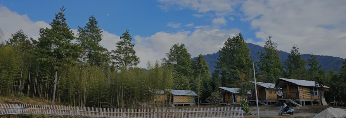 Bamboo Village Resort