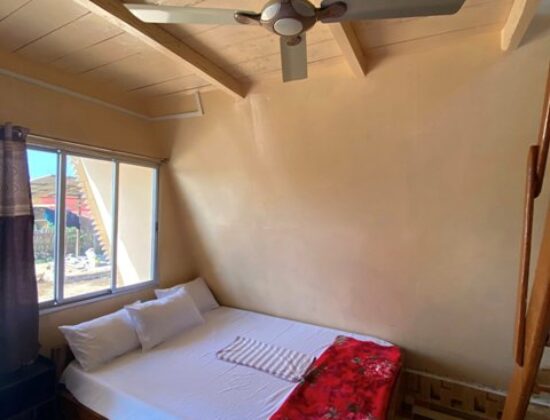The Bloom Homestay