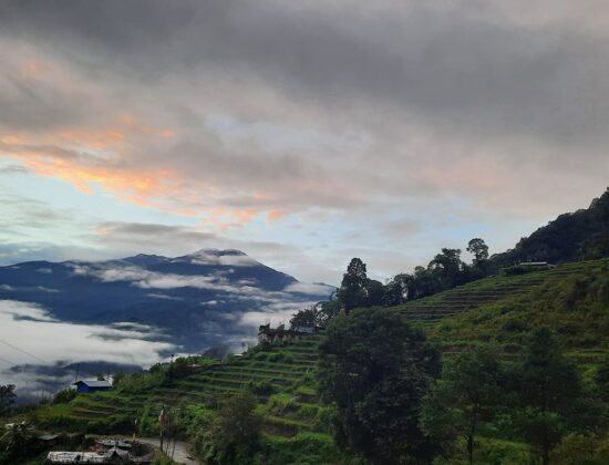 Zo-Mal Homestay