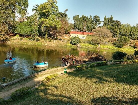 Green Wings Homestay