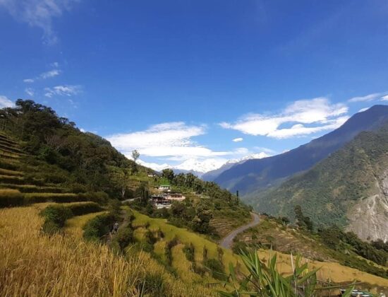 Zo-Mal Homestay
