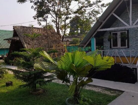 Rainforest Eco Resort