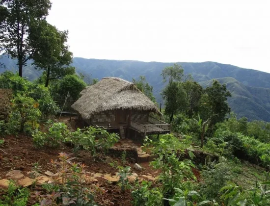 Kongthong Travellers Nest