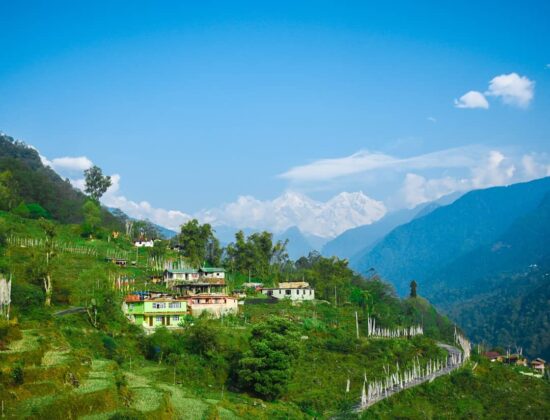 Zo-Mal Homestay