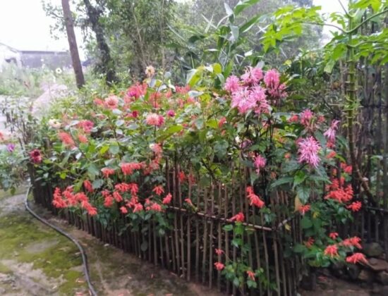 Meikha Homestay
