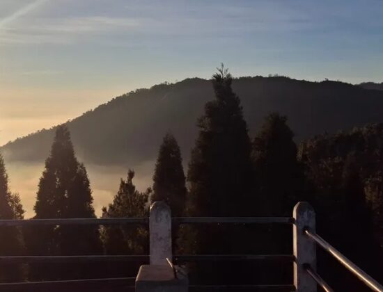 Naga Hills Car Rental