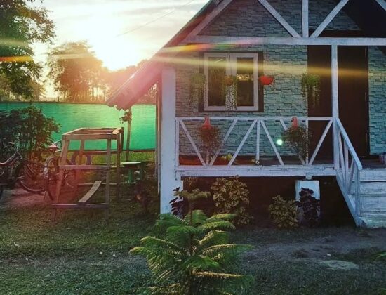 Rainforest Eco Resort
