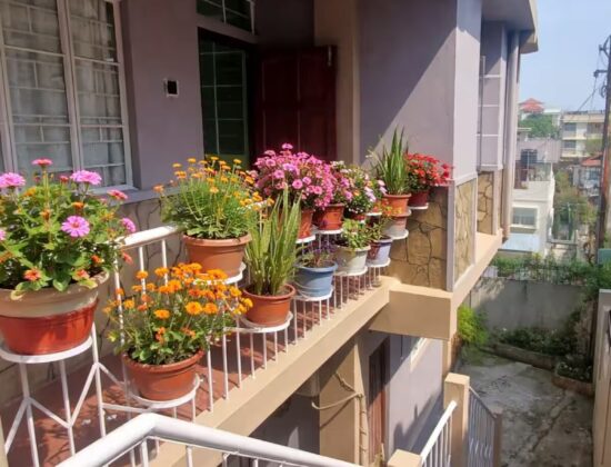 PineNest Homestay