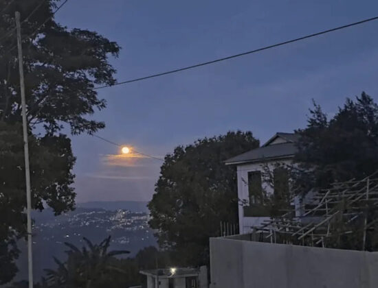 Dreamland Homestay