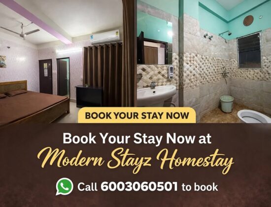 Modern Stayz