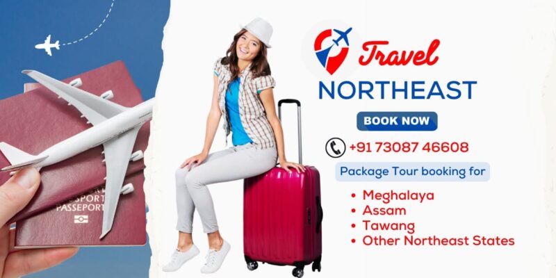 TFNE Tours and Travels