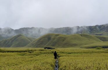 Anglong Tours