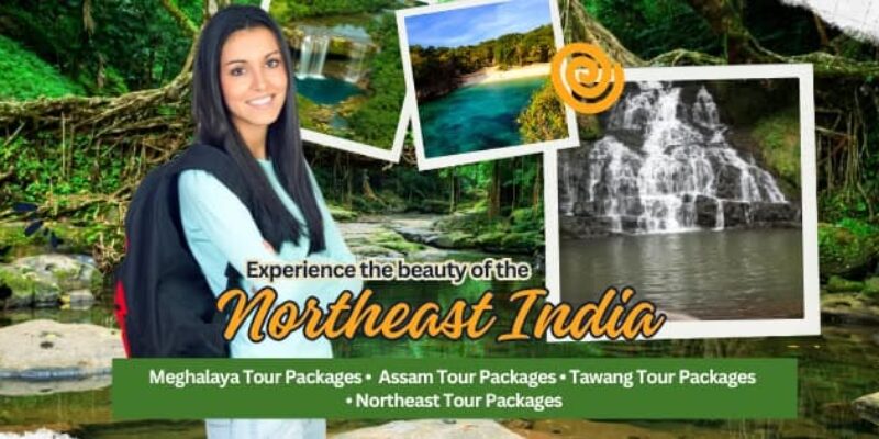 TFNE Tours and Travels