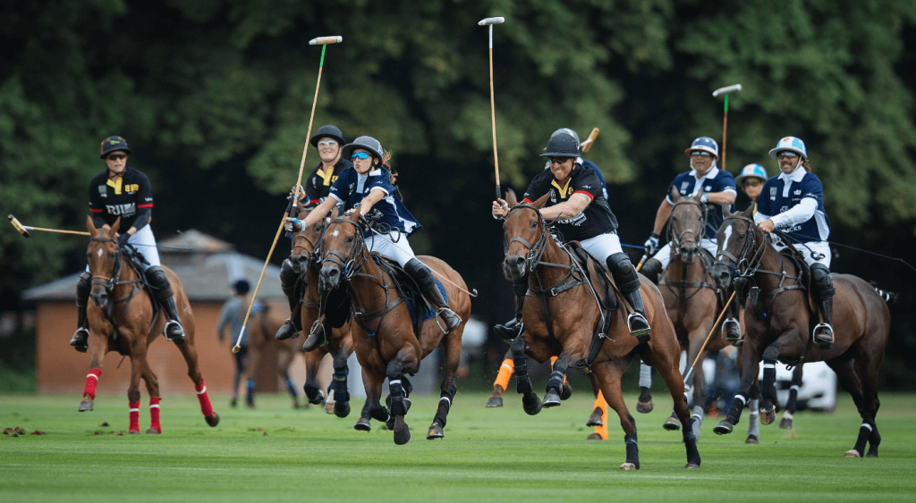 British Discovery of Polo