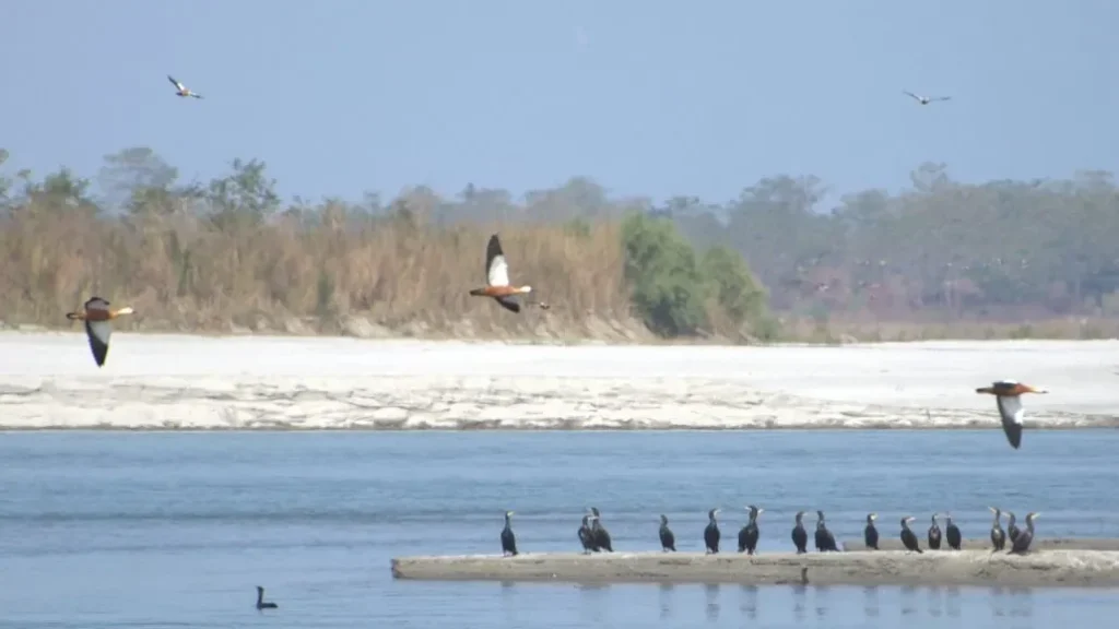 Daying Ering Wildlife Sanctuary edited