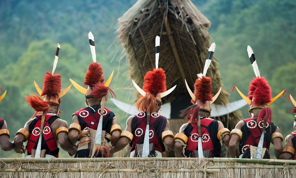 Hornbill