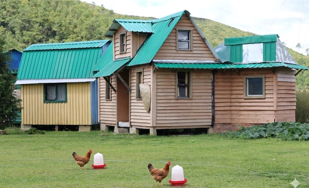 Maple Pine Farm